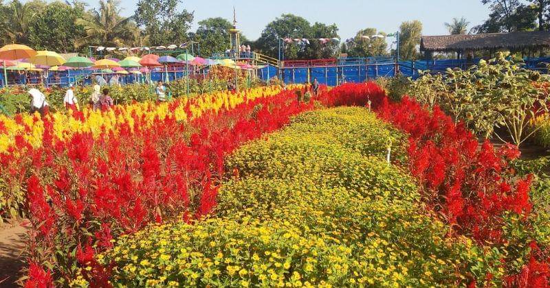 Google Maps/Baron Bna